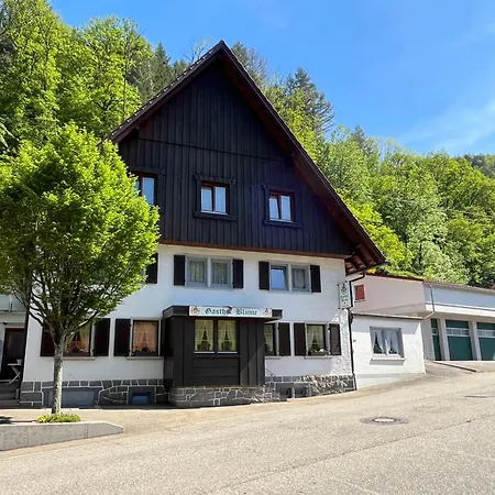 Ferienwohnung-blume Eg 2 Wolfach