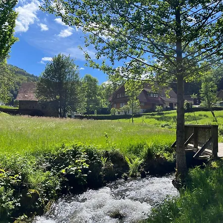 Ferienwohnung-blume Eg 2 Wolfach