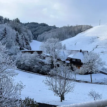 公寓 Ferienwohnung-blume Eg 2