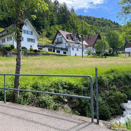 Ferienwohnung-blume Eg 2 Apartamento Wolfach