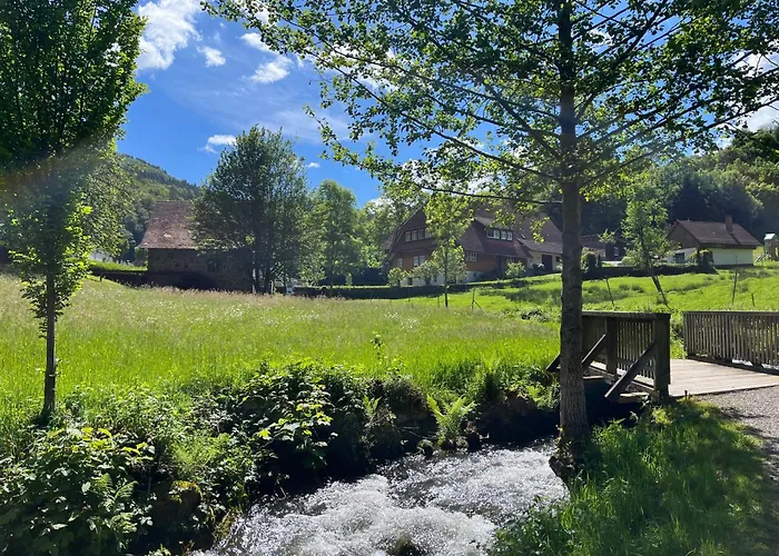 Ferienwohnung-blume Eg 2 Wolfach